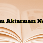 Deyim Aktarması Nedir?