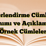 Değerlendirme Cümleleri Tanımı ve Açıklamalı Örnek Cümleler