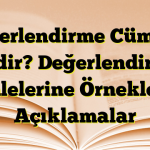 Değerlendirme Cümlesi Nedir? Değerlendirme Cümlelerine Örnekler ve Açıklamalar