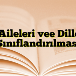 Dil Aileleri vee Dillerin Sınıflandırılması