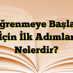 Dil Öğrenmeye Başlamak İçin İlk Adımlar Nelerdir?