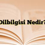 Dilbilgisi Nedir?