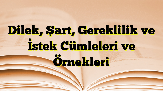 Dilek, Şart, Gereklilik ve İstek Cümleleri ve Örnekleri