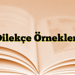 Dilekçe Örnekleri