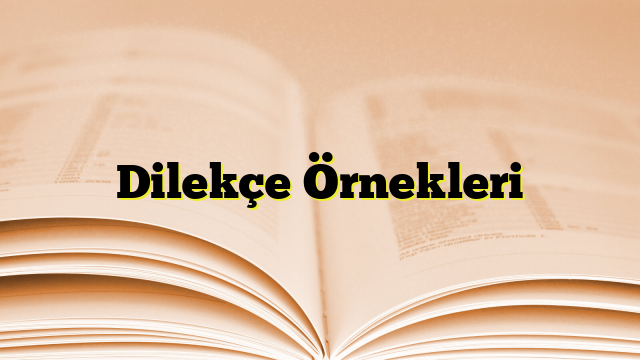 Dilekçe Örnekleri