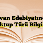 Divan Edebiyatında Mektup Türü Bilgileri