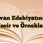 Divan Edebiyatında Nesir ve Örnekleri