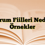 Durum Fiilleri Nedir? Örnekler