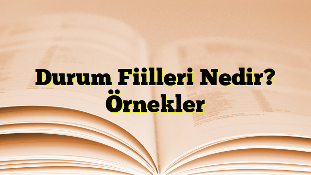 Durum Fiilleri Nedir? Örnekler