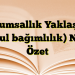 Durumsallık Yaklaşımı (koşul bağımlılık) Nedir Özet