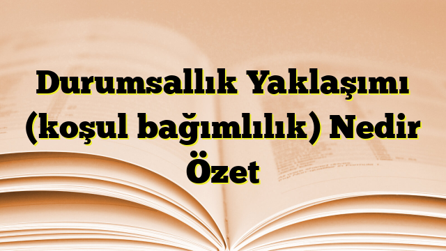 Durumsallık Yaklaşımı (koşul bağımlılık) Nedir Özet