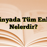 Dünyada Tüm Enler Nelerdir?