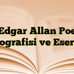 Edgar Allan Poe Biyografisi ve Eserleri