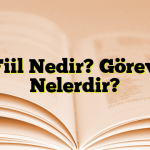 Ek Fiil Nedir? Görevleri Nelerdir?