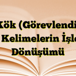 Ek Kök (Görevlendirme Eki): Kelimelerin İşlevsel Dönüşümü