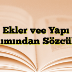 Ekler vee Yapı Bakımından Sözcükler