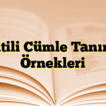 Eksiltili Cümle Tanımı ve Örnekleri