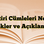 Eleştiri Cümleleri Nedir? Örnekler ve Açıklamalar