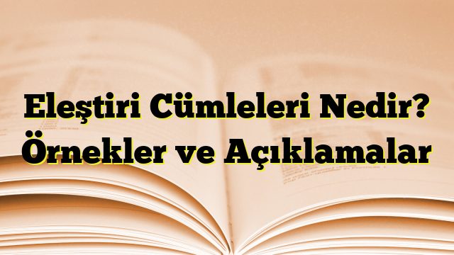 Eleştiri Cümleleri Nedir? Örnekler ve Açıklamalar