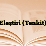 Eleştiri (Tenkit)