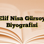 Elif Nisa Gürsoy Biyografisi