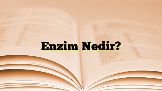 Enzim Nedir?