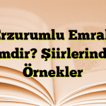 Erzurumlu Emrah Kimdir? Şiirlerinden Örnekler