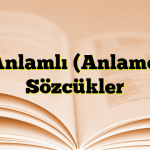 Eş Anlamlı (Anlamdaş) Sözcükler