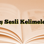 Eş Sesli Kelimeler