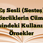 Eş Sesli (Sesteş) Sözcüklerin Cümle İçerisindeki Kullanımına Örnekler