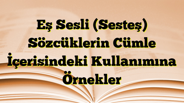 Eş Sesli (Sesteş) Sözcüklerin Cümle İçerisindeki Kullanımına Örnekler