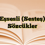 Eşsesli (Sesteş) Sözcükler