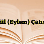 Fiil (Eylem) Çatısı