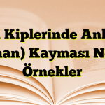 Fiil Kiplerinde Anlam (Zaman) Kayması Nedir? Örnekler