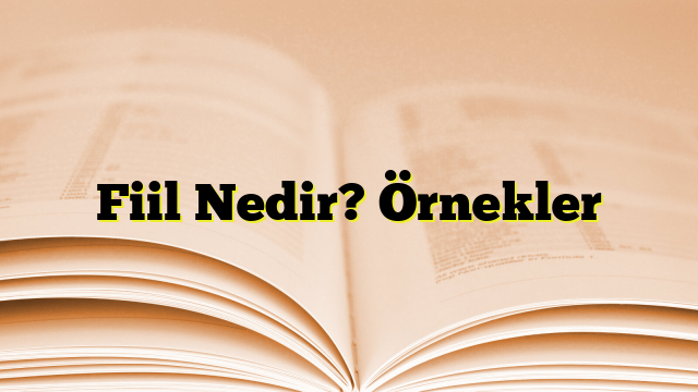 Fiil Nedir? Örnekler