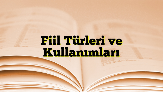 Fiil Türleri ve Kullanımları