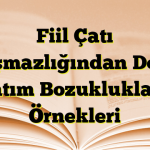 Fiil Çatı Uyuşmazlığından Doğan Anlatım Bozuklukları ve Örnekleri