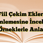 Fiil Çekim Ekleri Derinlemesine İnceleme ve Örneklerle Anlatım