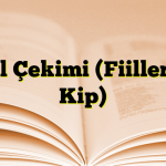 Fiil Çekimi (Fiillerde Kip)