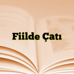 Fiilde Çatı