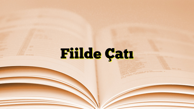 Fiilde Çatı