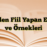 Fiilden Fiil Yapan Ekler ve Örnekleri