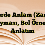 Fiillerde Anlam (Zaman) Kayması, Bol Örnekli Anlatım