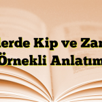 Fiillerde Kip ve Zaman Örnekli Anlatım