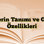 Fiillerin Tanımı ve Genel Özellikleri