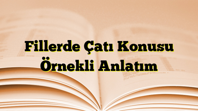 Fillerde Çatı Konusu Örnekli Anlatım