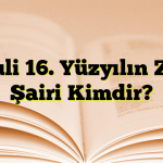 Fuzuli 16. Yüzyılın Zirve Şairi Kimdir?