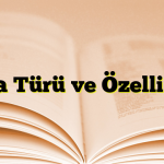 Fıkra Türü ve Özellikleri