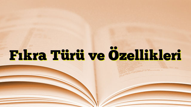 Fıkra Türü ve Özellikleri