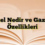 Gazel Nedir ve Gazelin Özellikleri